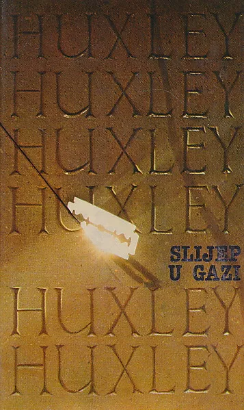 Slijep u Gazi