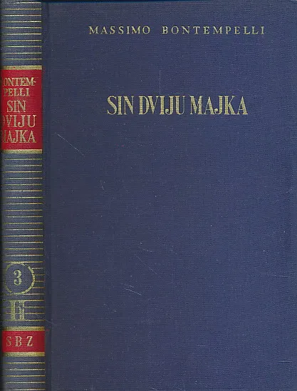 Sin dviju majka