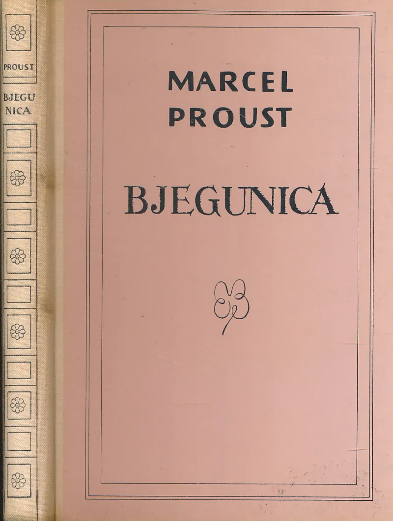 Bjegunica