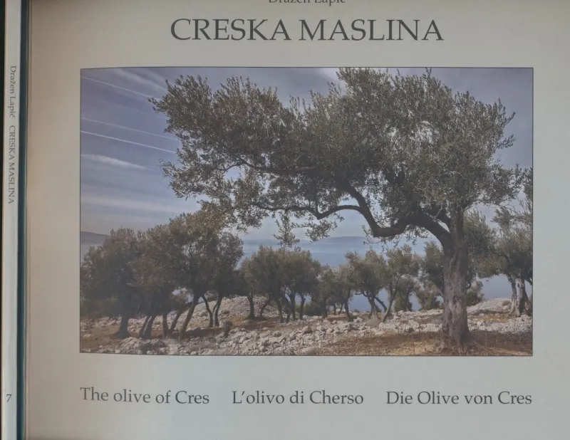 Creska maslina : The olive of Cres = L olivo di Cherso = Die Olive von Cres