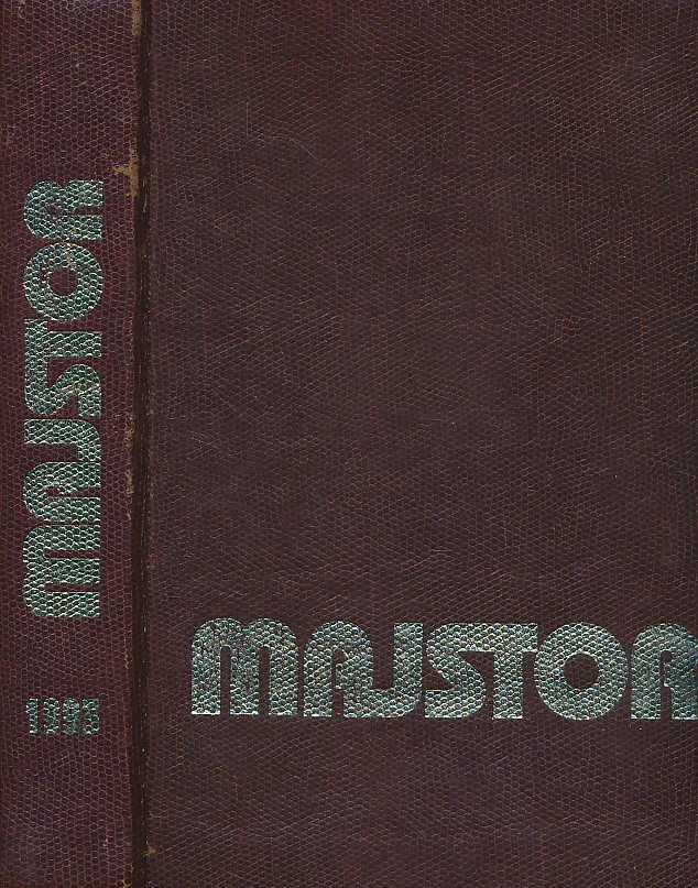 Majstor 1-12/1993