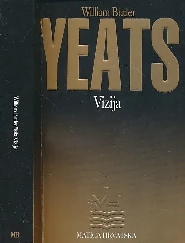 Vizija