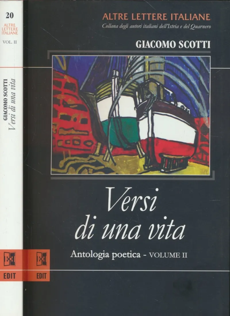 Versi di una vita : antologia poetica - volume II