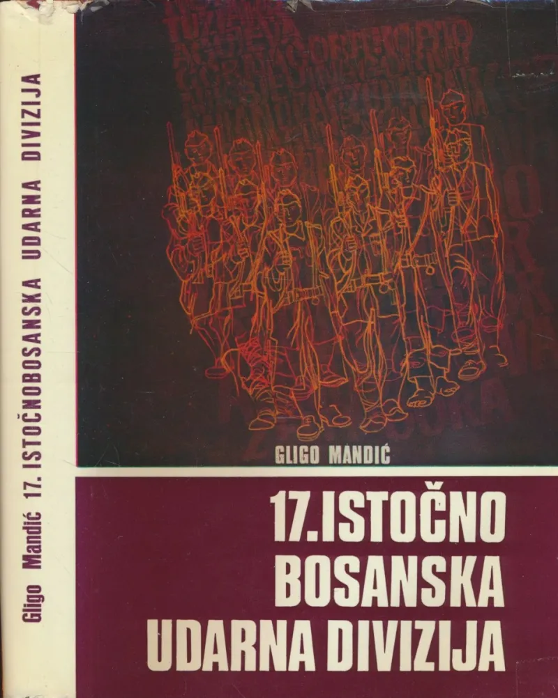 17. istočnobosanska NOU divizija