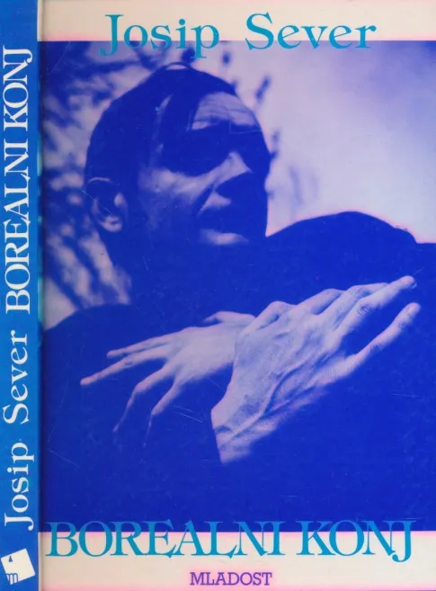 Borealni konj