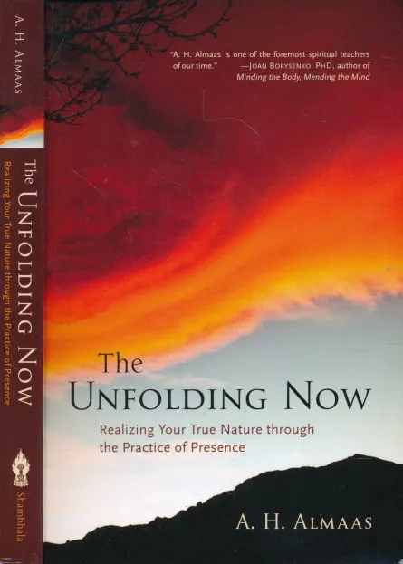 The Unfolding Now: Realizing Your True Nature through the Practice of Presence
