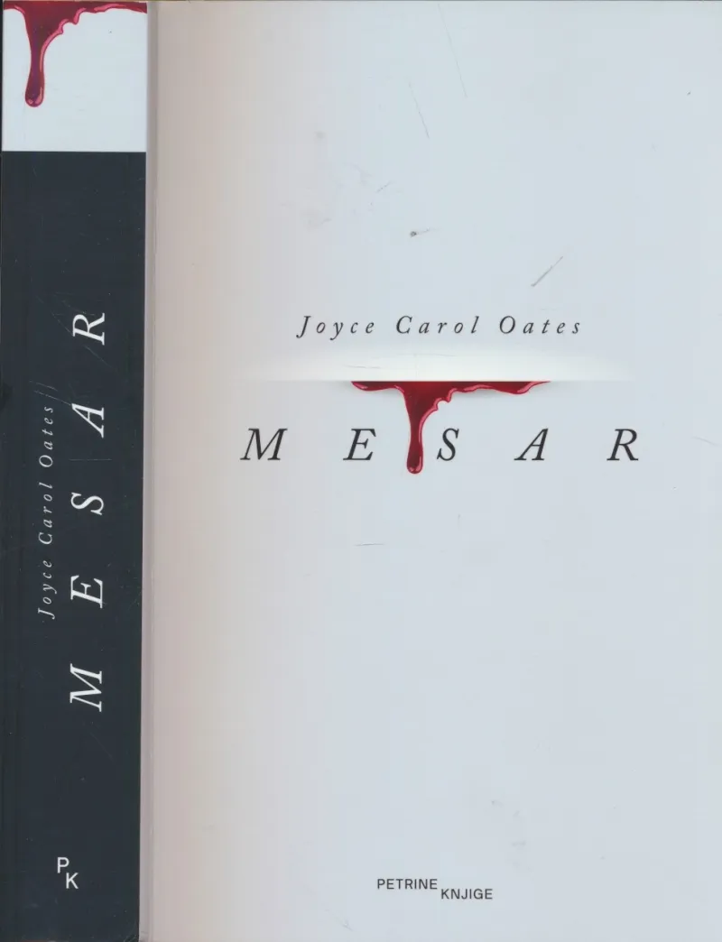 Mesar : otac moderne ginopsihijatrije : roman