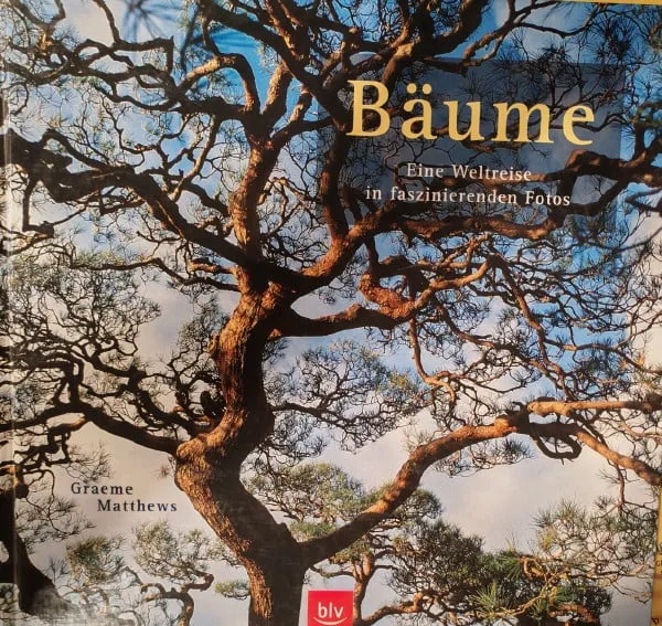 Bäume: Eine Weltreise in faszinierenden Fotos