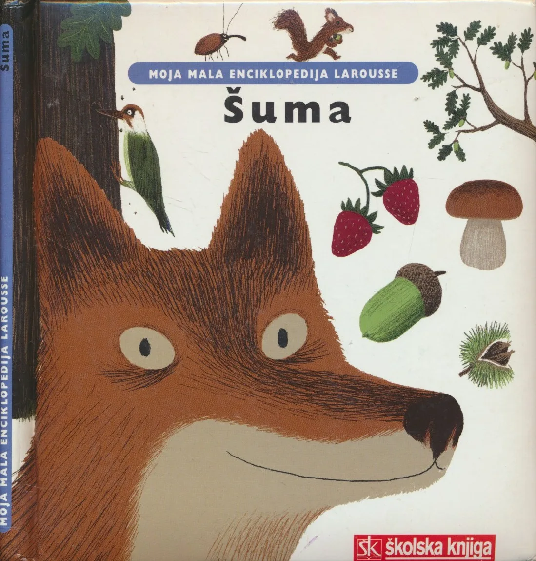 Šuma