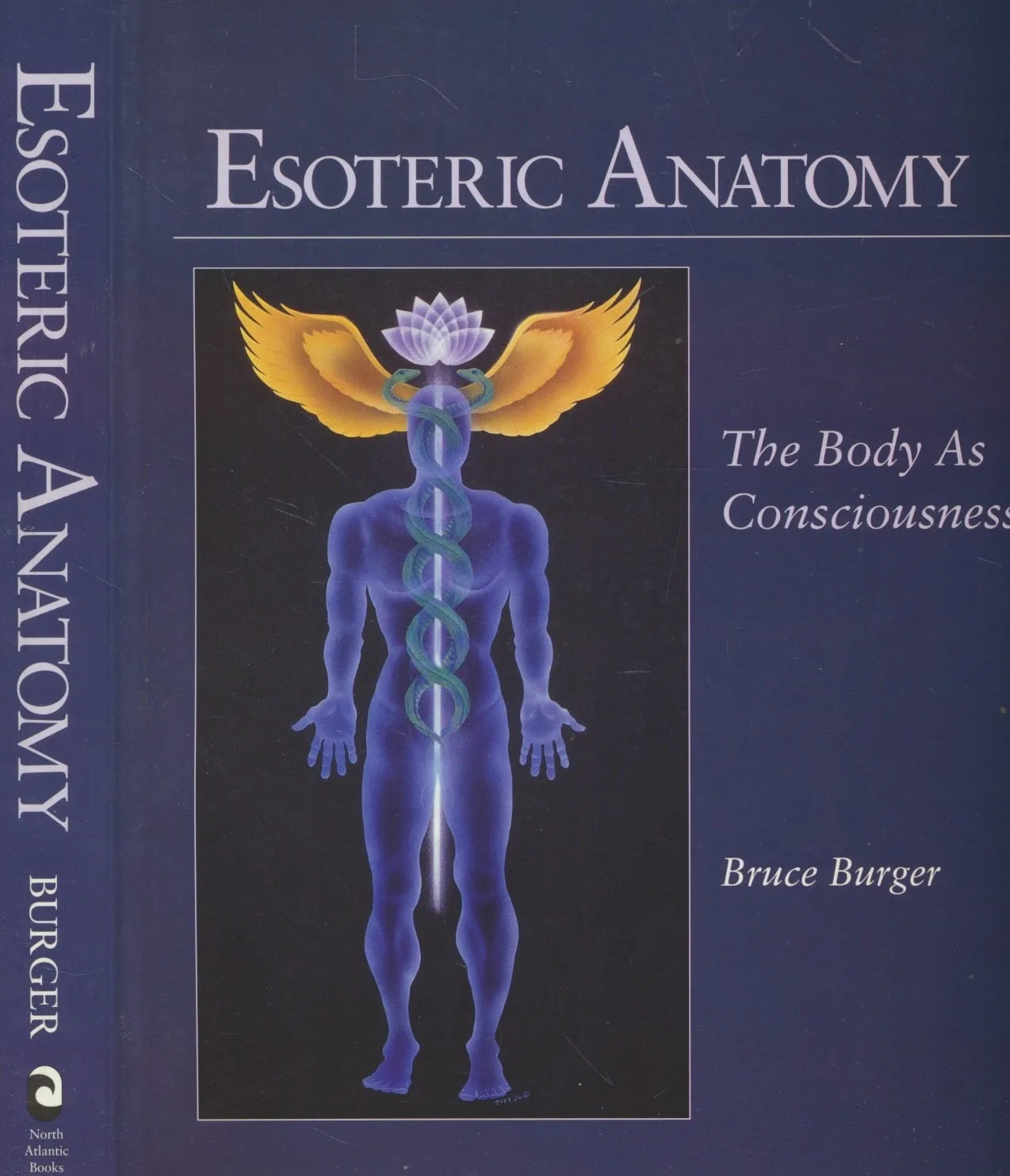 Esoteric Anatomy: The Body As Consciousness