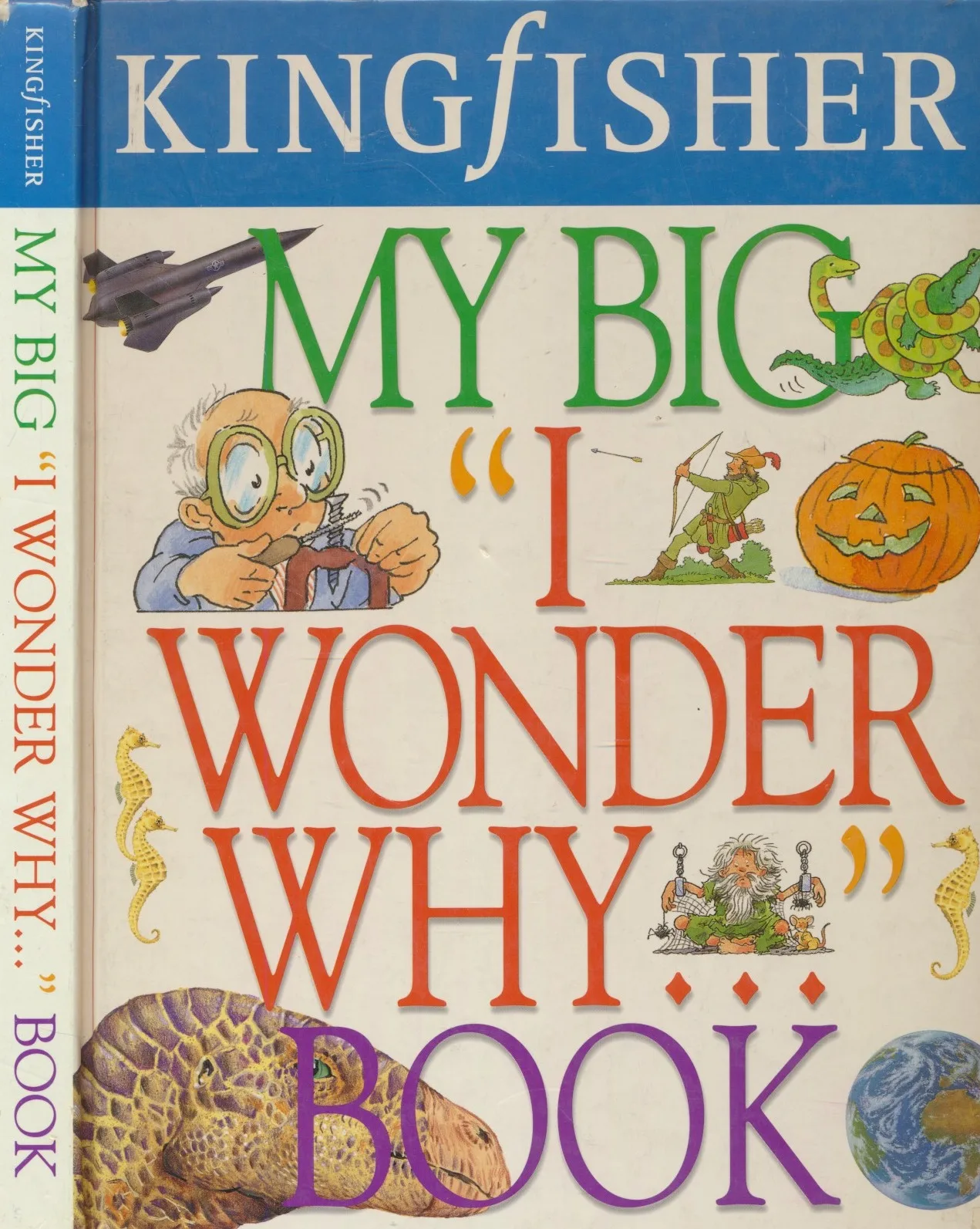 My Big I Wonder Why... Book