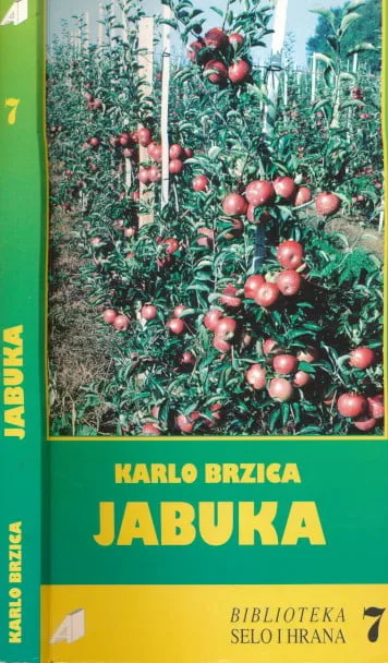 Jabuka