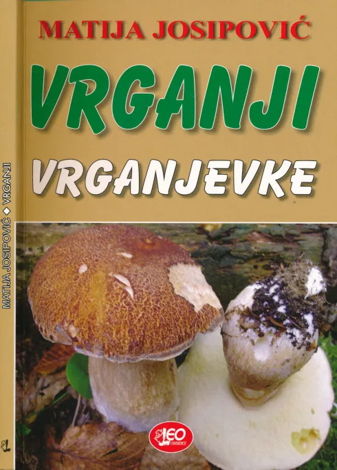 Vrganji - vrganjevke