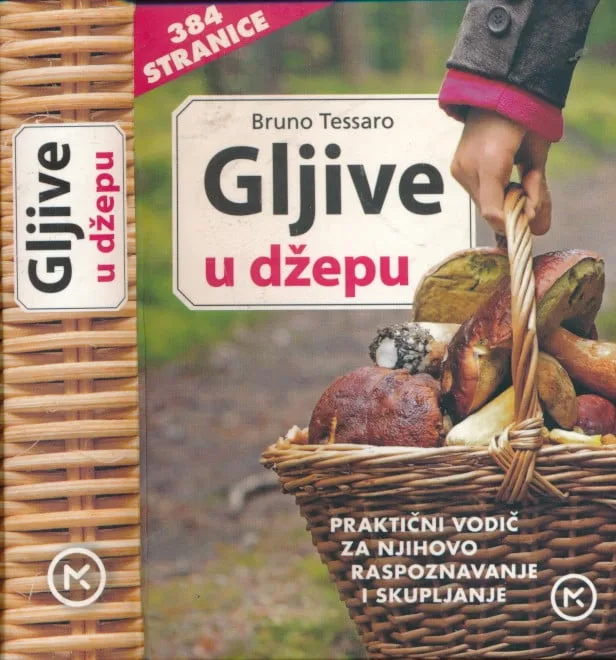 Gljive u džepu