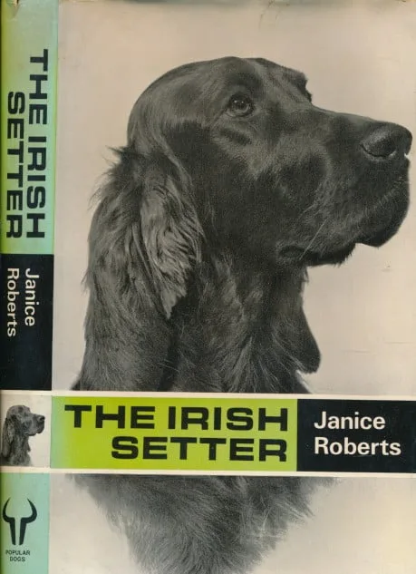 The Irish Setter