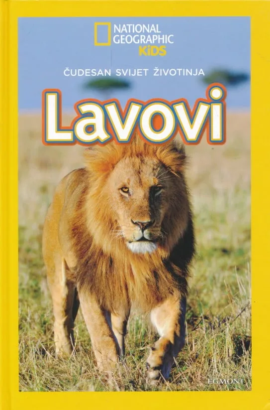 Lavovi