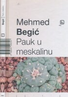 Pauk u meskalinu