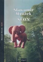 Slon