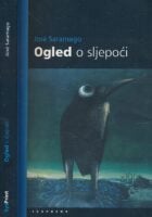Ogled o sljepoći