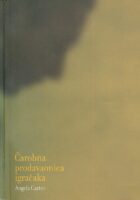 Čarobna prodavaonica igračaka