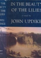 In the Beauty of the Lilies