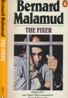 The Fixer