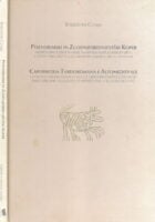 Poznorimski in Zgodnjesrednjeveški Koper / Capodistria Tardoromana e Altomedievale