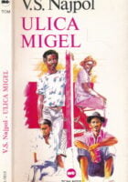 Ulica Migel