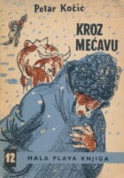 Kroz mećavu