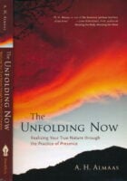 The Unfolding Now: Realizing Your True Nature through the Practice of Presence