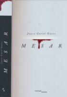 Mesar : otac moderne ginopsihijatrije : roman
