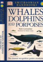 Whales dolphins and porpoises