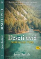 Deseti uvid Održavanje vizije
