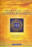 Awakening the Luminous Mind