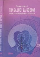 Tragajući za sobom : izazovi i zamke unutarnjeg putovanja