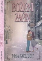 Božićni začin