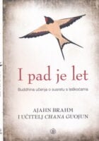I pad je let