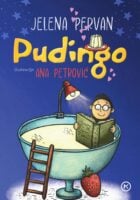 Pudingo