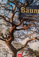 Bäume: Eine Weltreise in faszinierenden Fotos