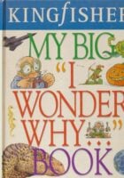 My Big I Wonder Why... Book