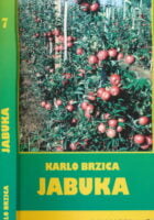 Jabuka