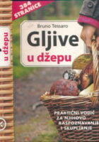 Gljive u džepu