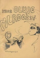 Kroz oluje mladosti