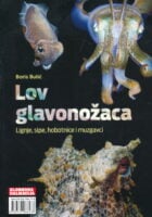 Lov glavonožaca : lignje, sipe, hobotnice i muzgavci