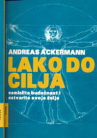 Lako do cilja